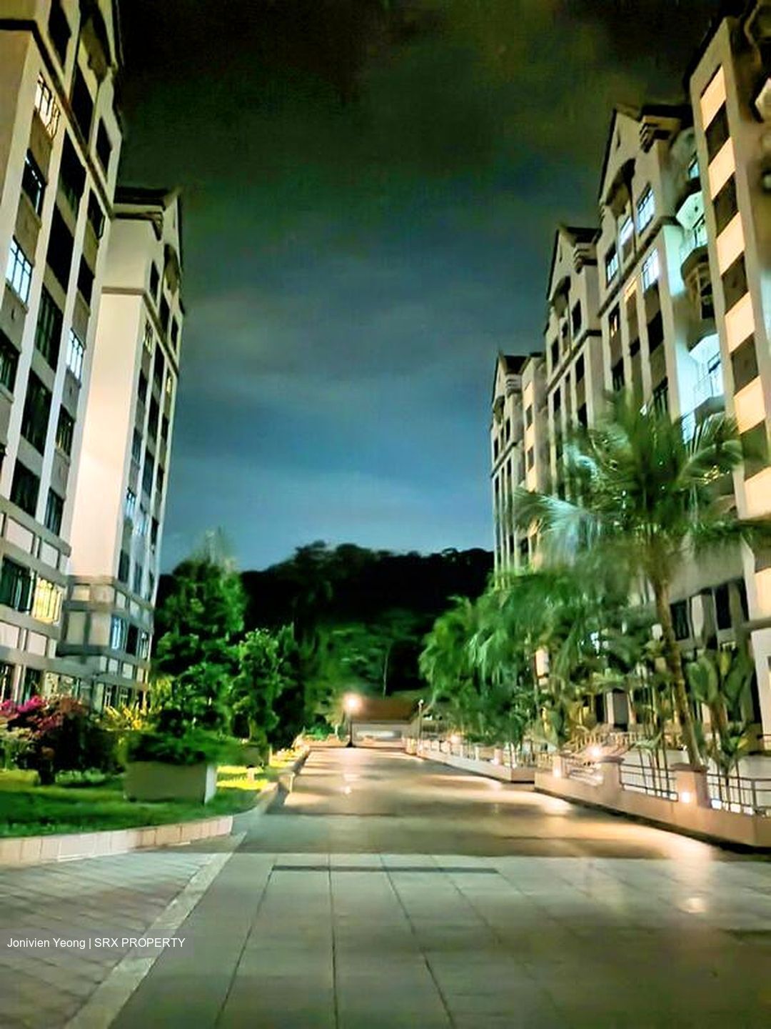 Hume Park I (D21), Condominium #430458401